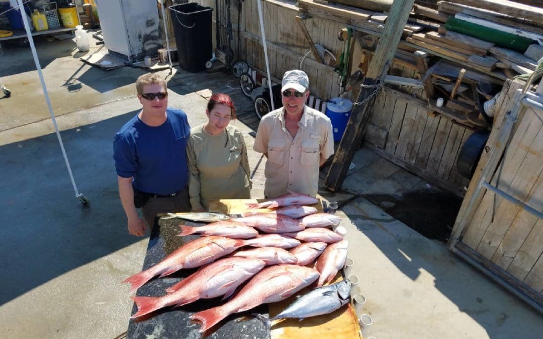 Red Snapper Were Hot Today
