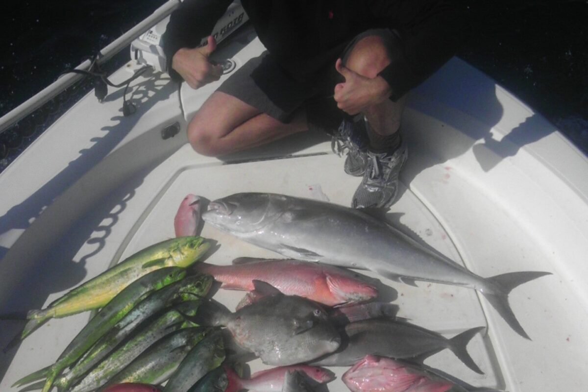 A man sitting on a boat with a bunch of fish.